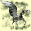 View Pegasus83's profile